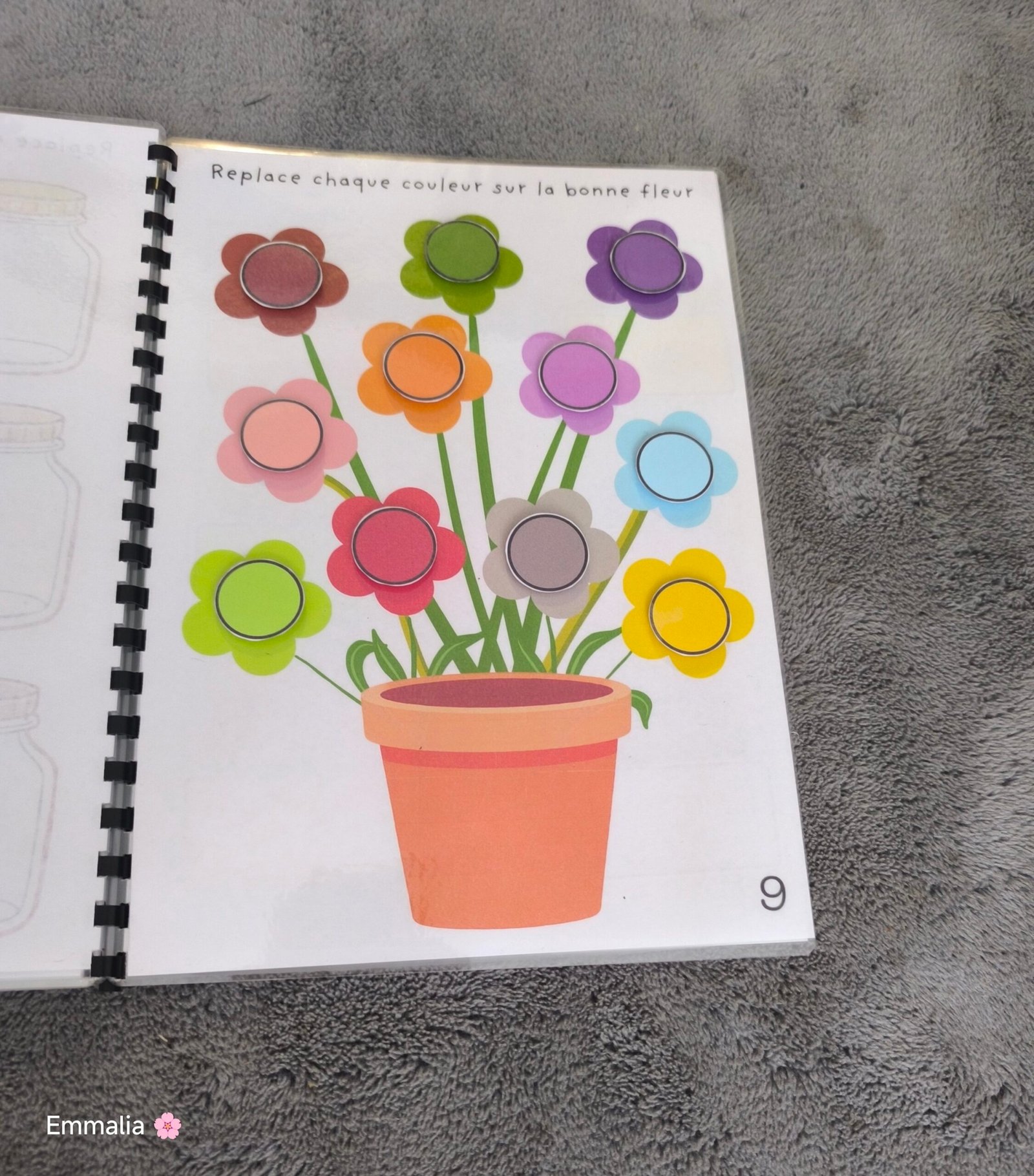 Couleurs fleurs