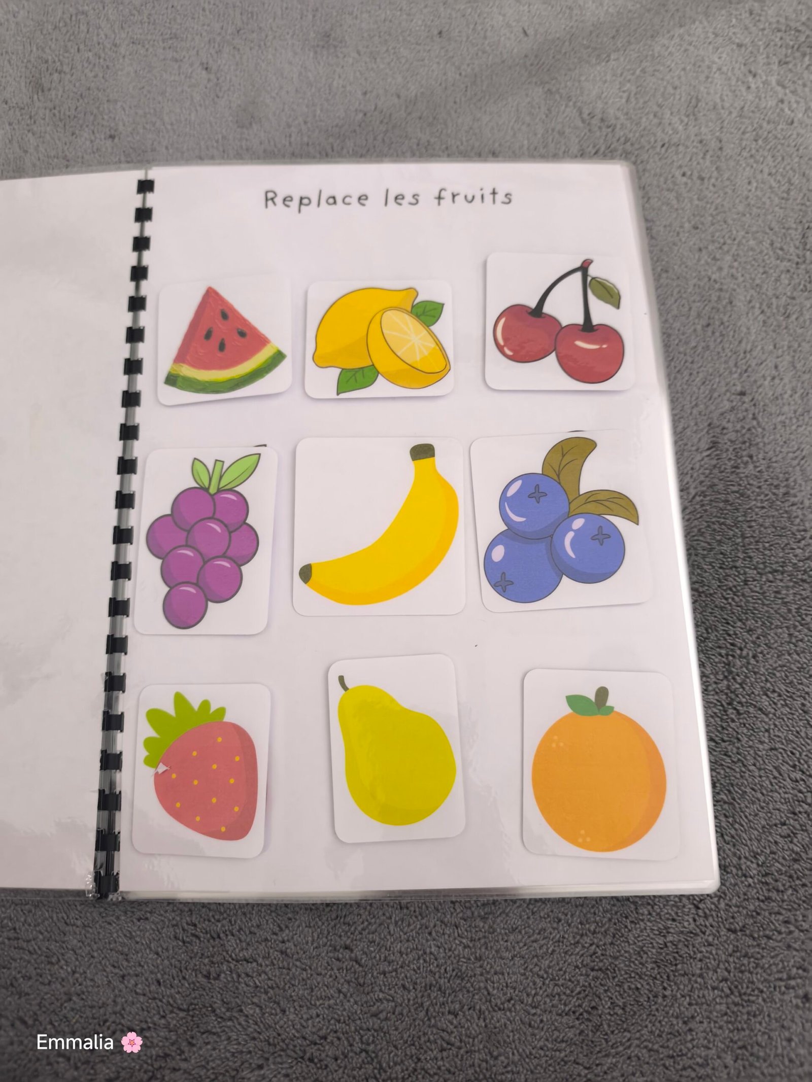 Fruits