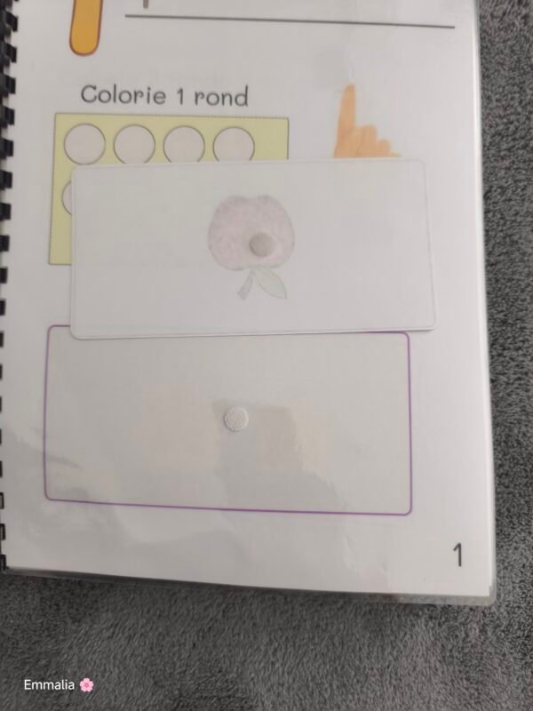 1000013927.jpg