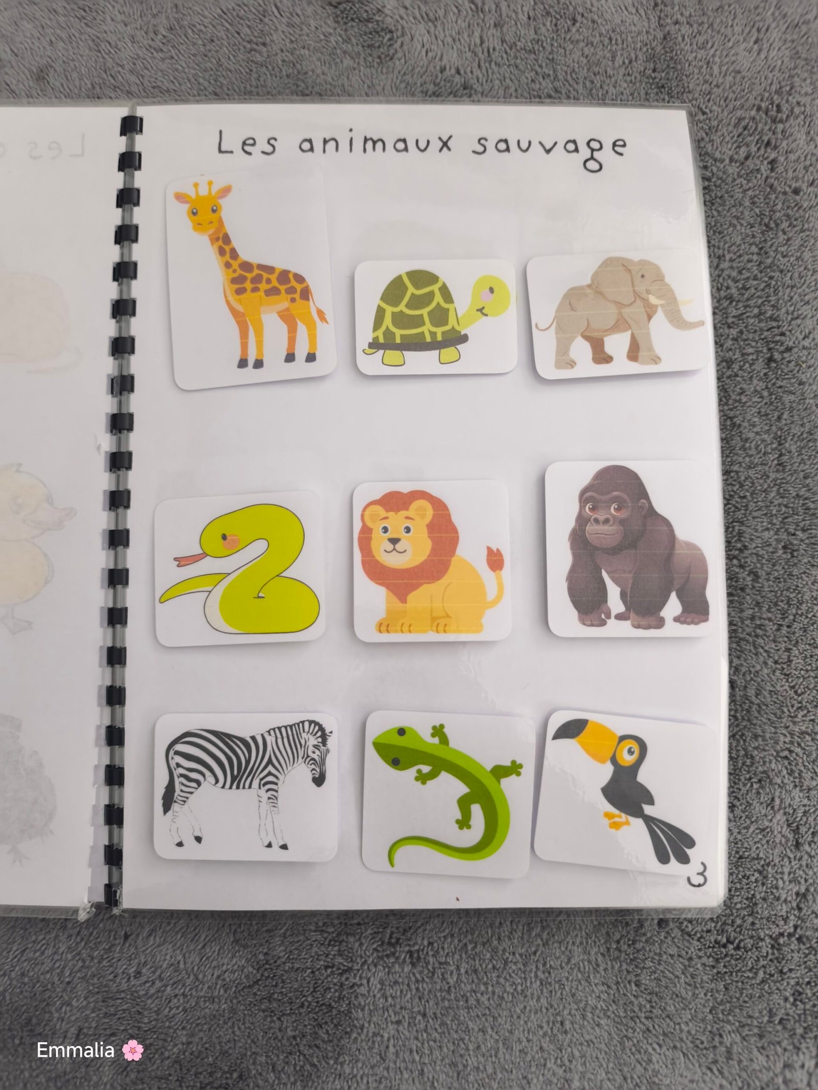Sauvage 1