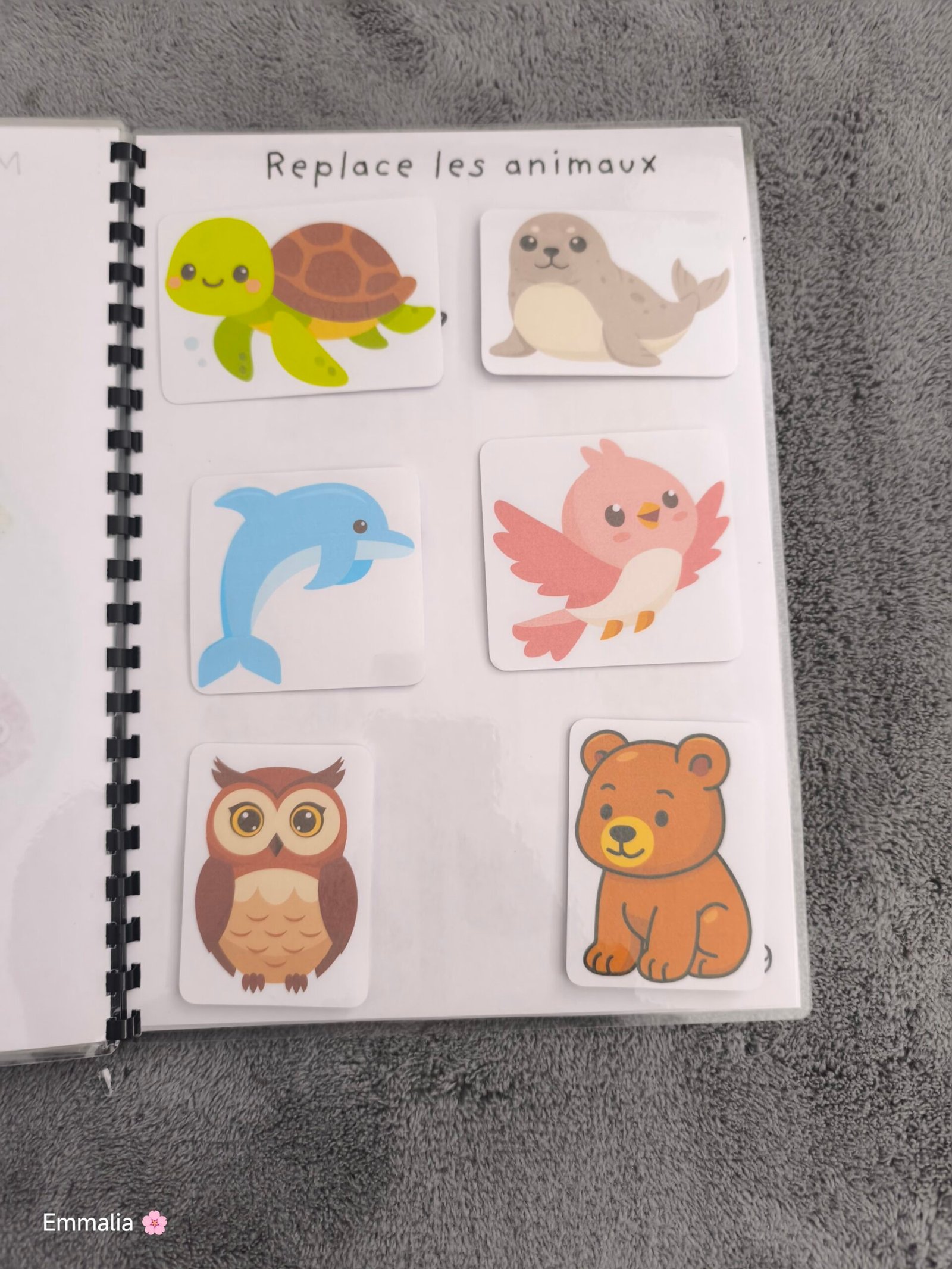 Animaux