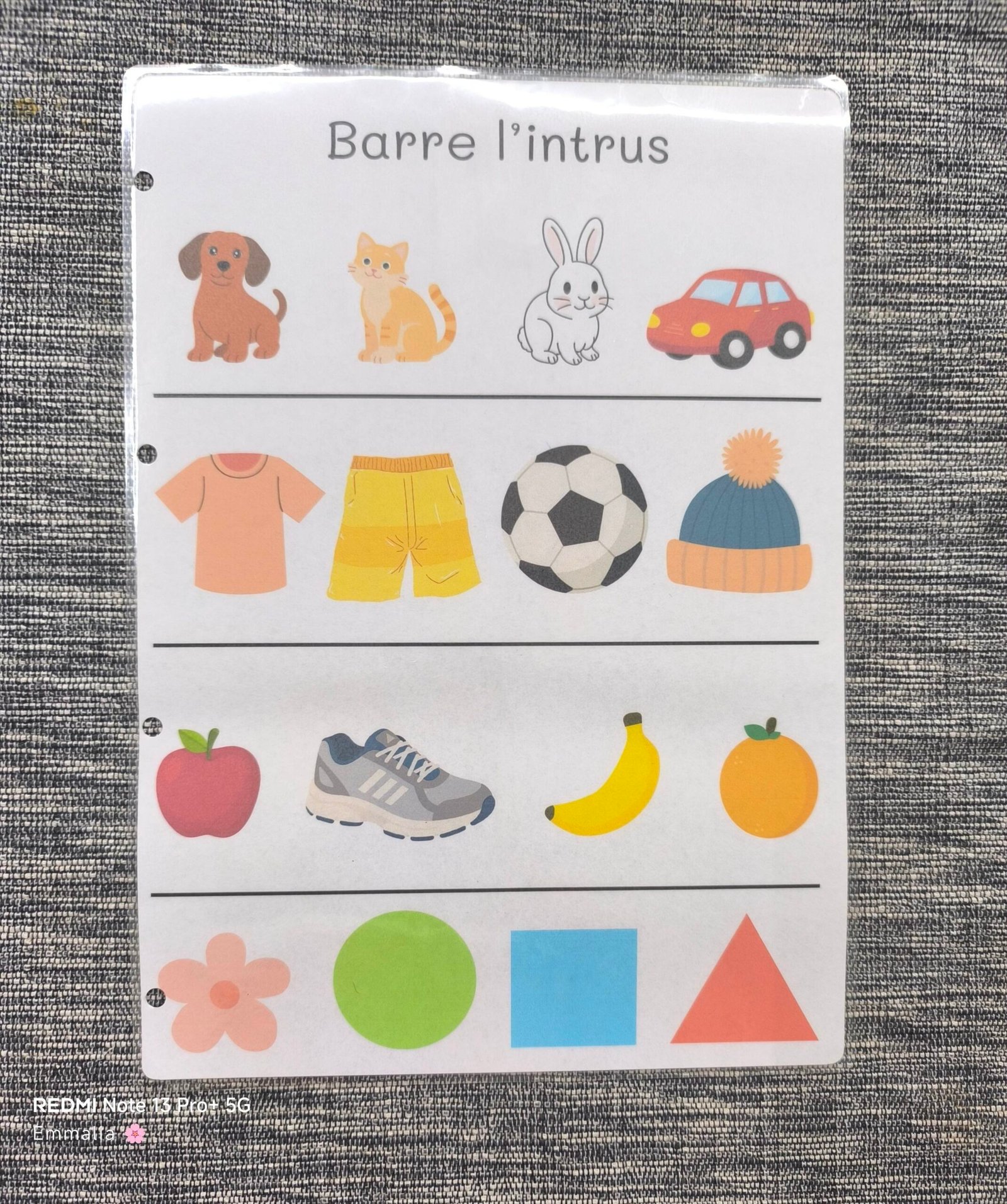 Intrus