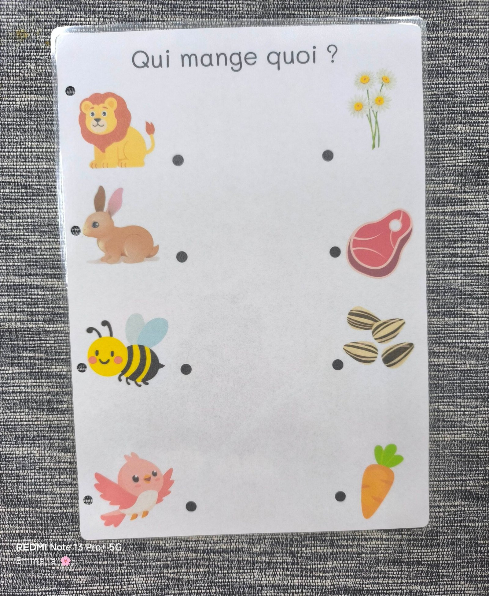 Qui mange quoi