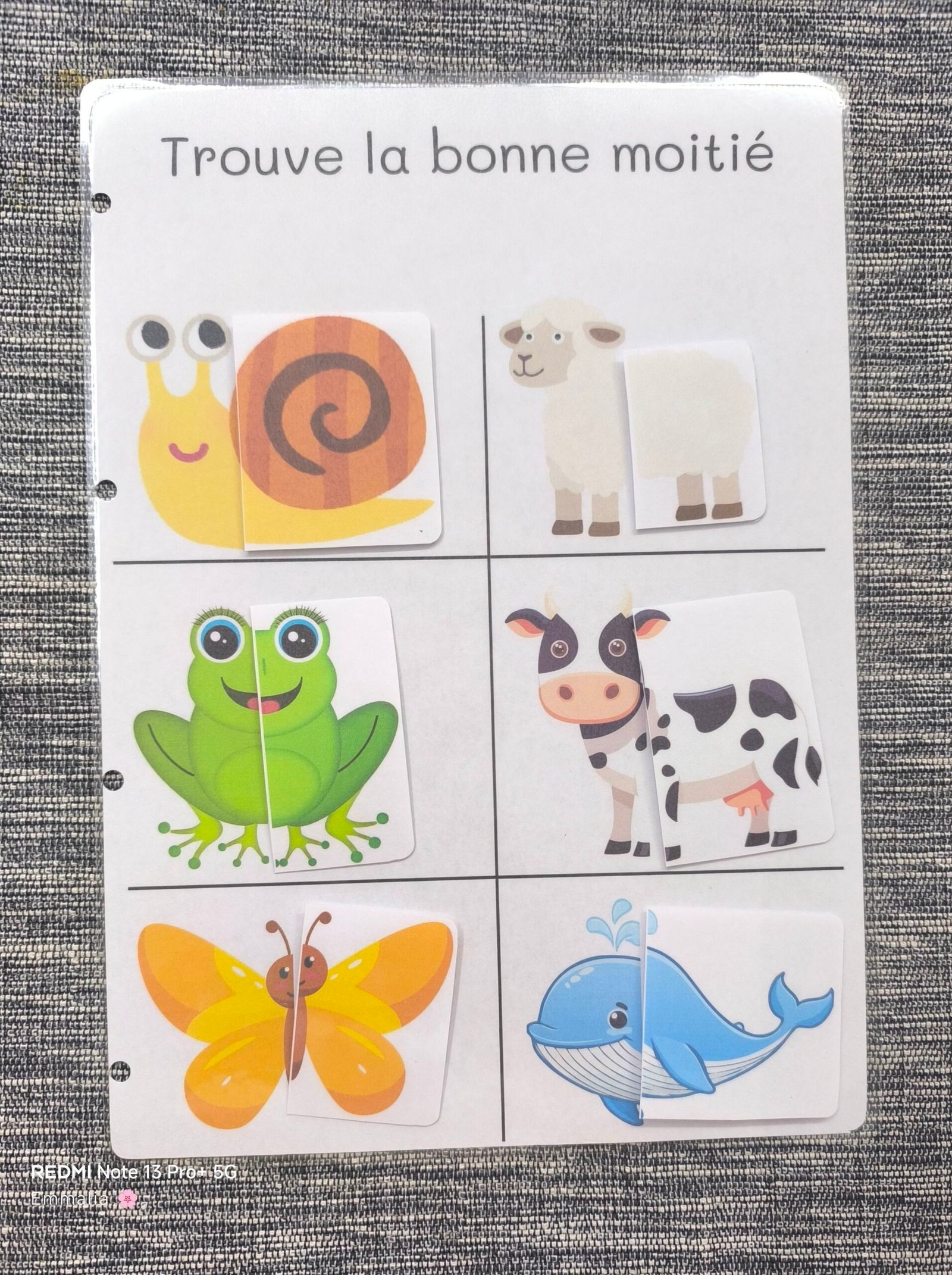 Moitié animaux