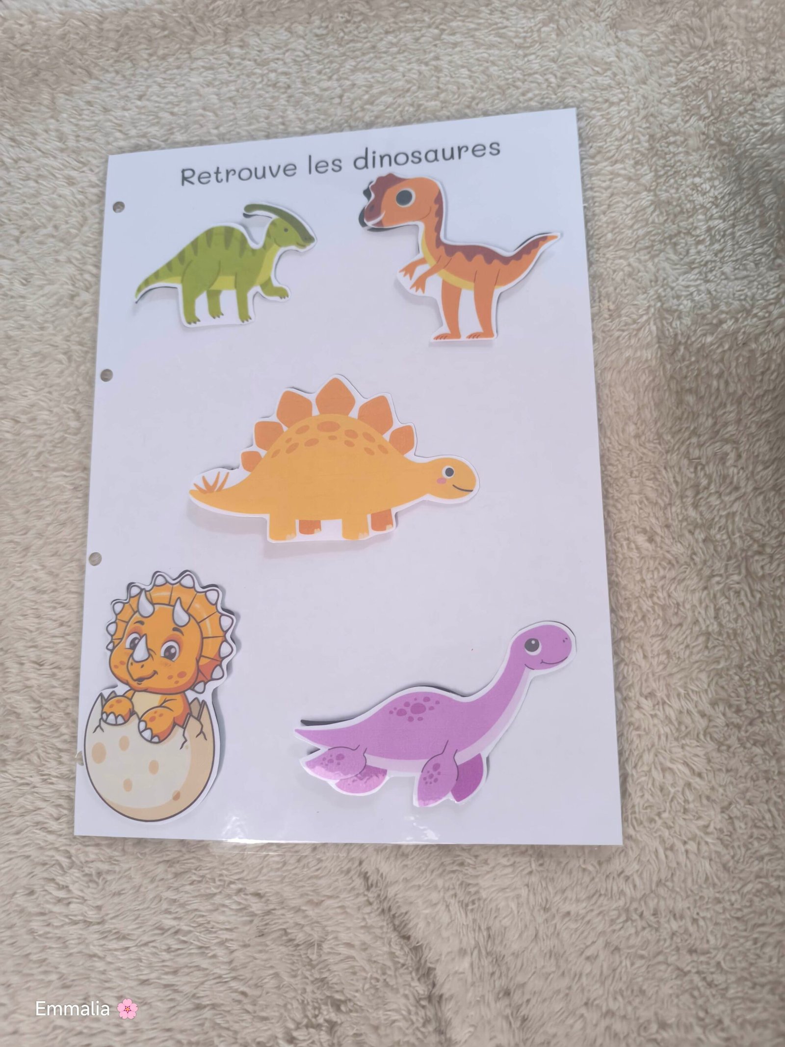 Dinosaures Ombres
