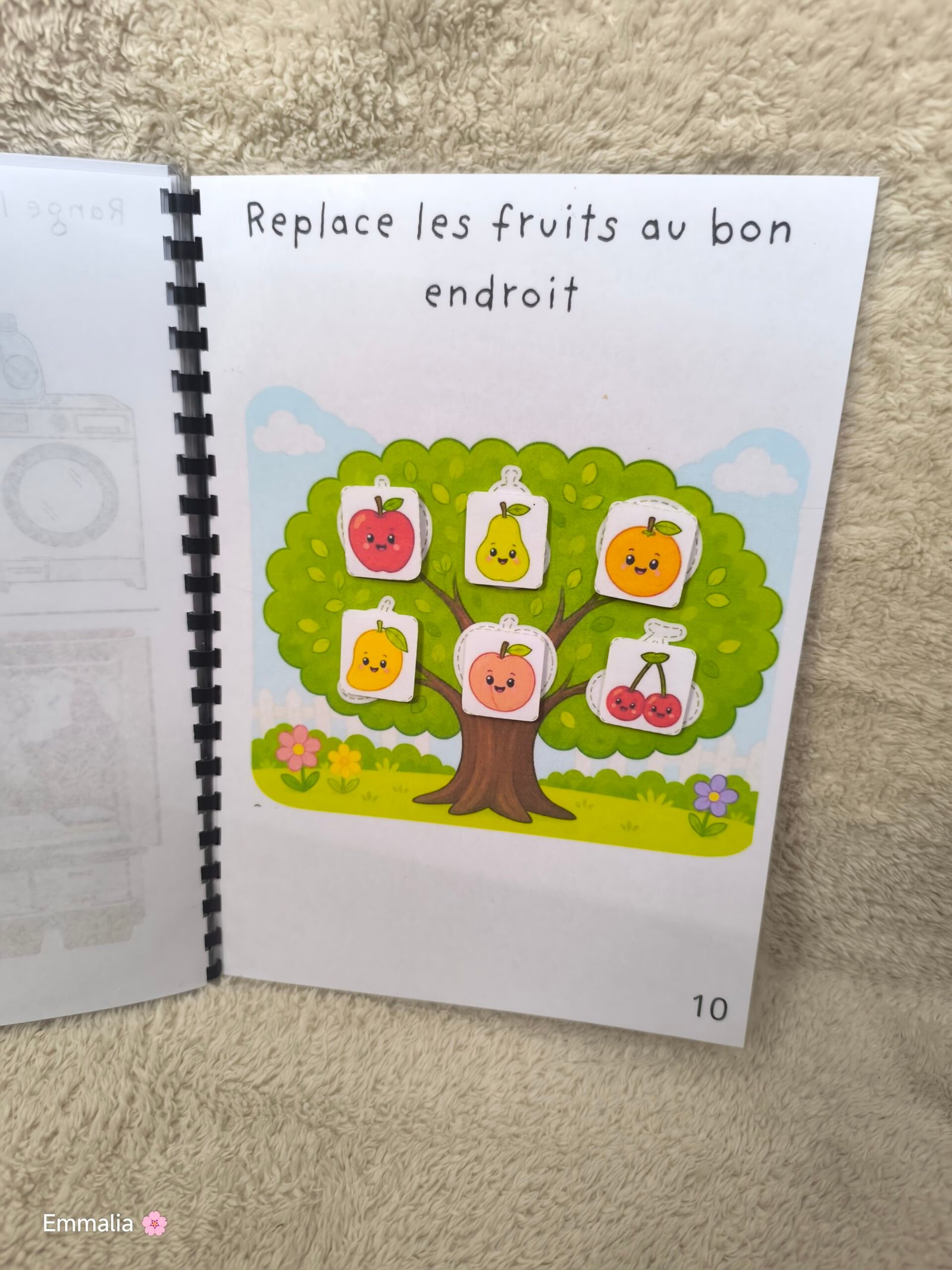 Fruits arbre
