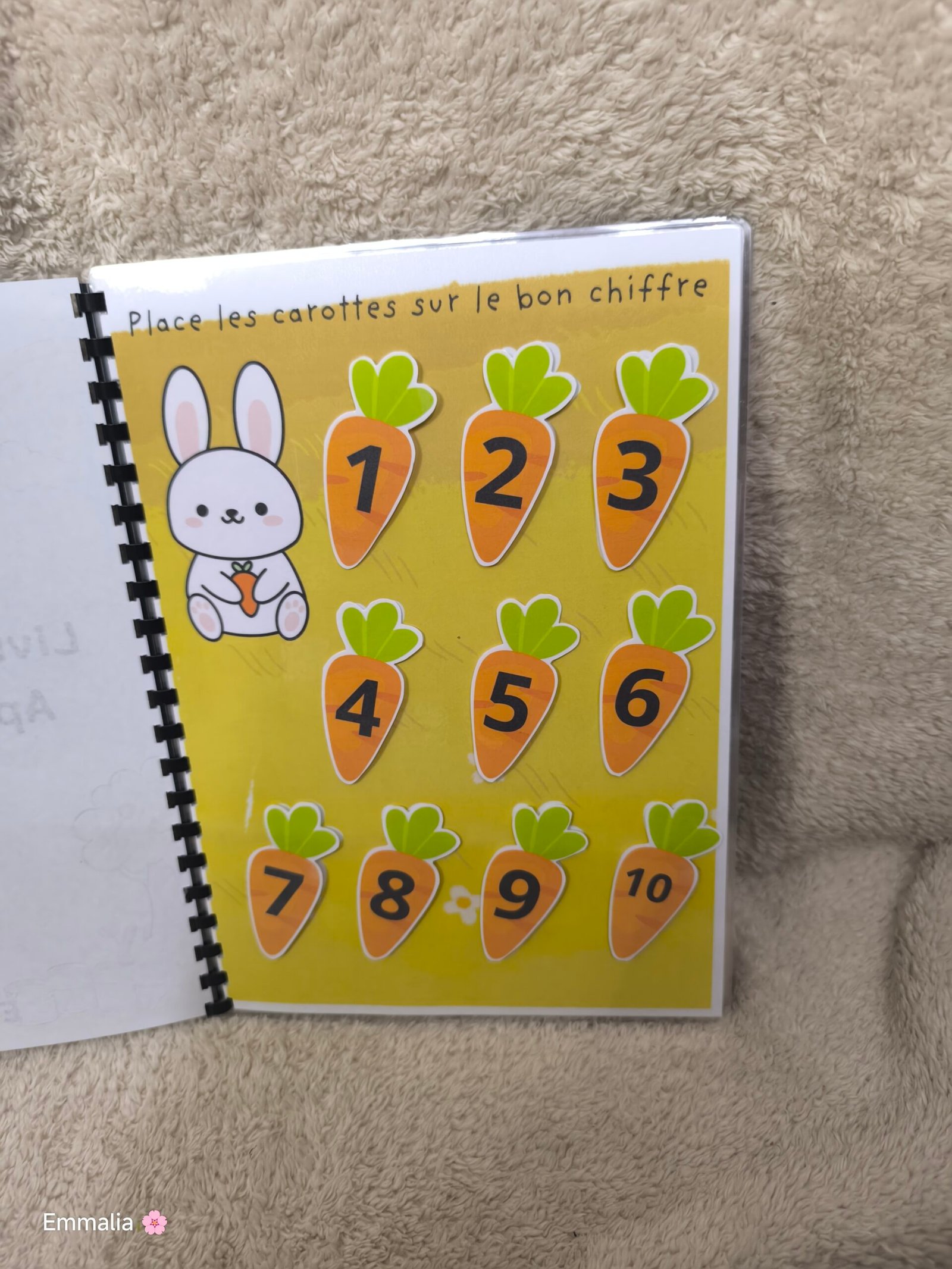 Chiffres lapin