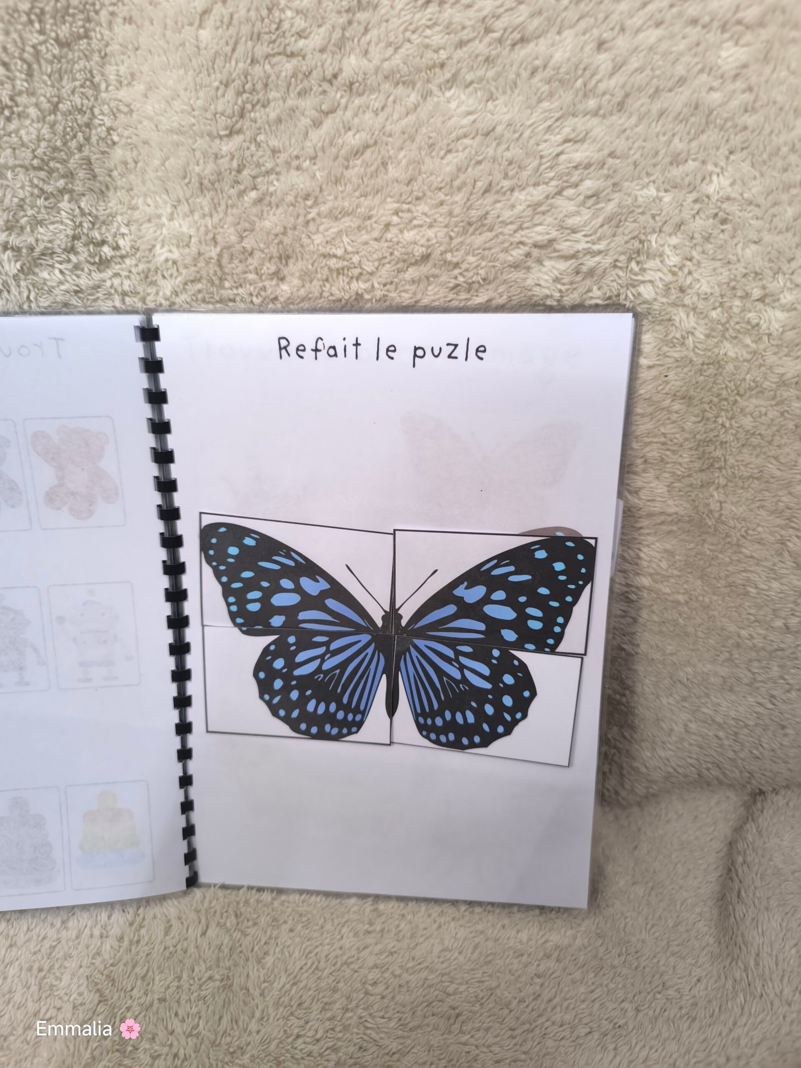 Puzzle papillon
