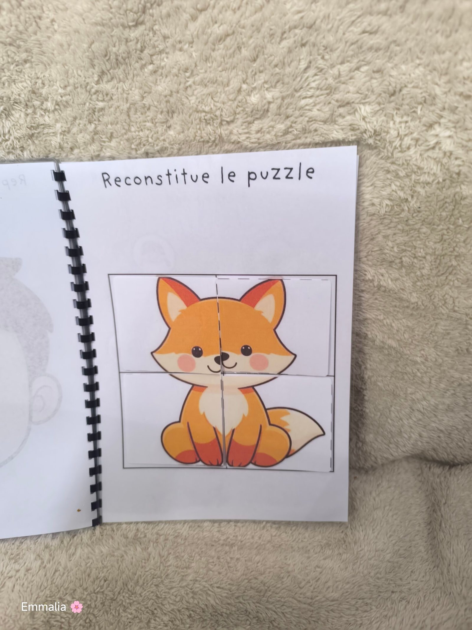 Puzzle renard